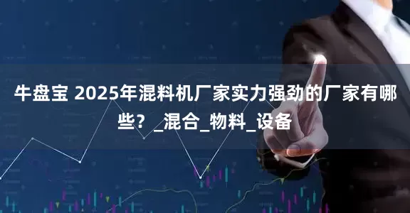 牛盘宝 2025年混料机厂家实力强劲的厂家有哪些？_混合_物料_设备